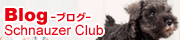 シュナウザークラブブログ
