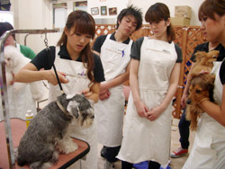 新人トリマー研修会
