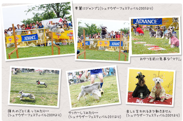 アジリティ