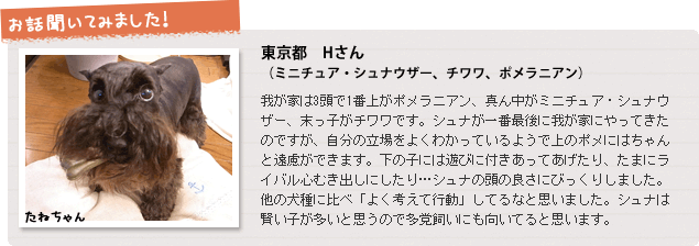 お話聞いてみました