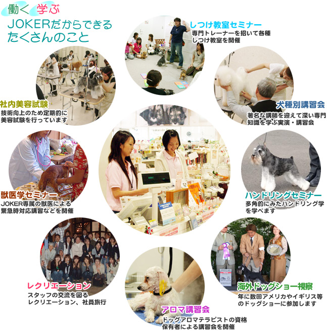 働く、学ぶ、ジョーカーだからできること