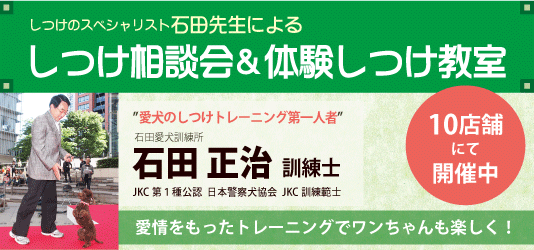 石田先生によるしつけ相談会