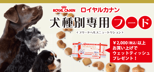 ロイヤルカナン