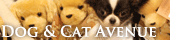 DOG&CAT AVENUE