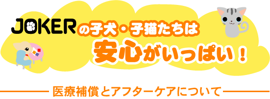 ジョーカーの子犬・子猫たちは安心がいっぱい