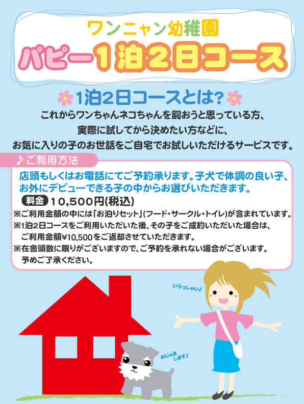 パピー１泊２日コース