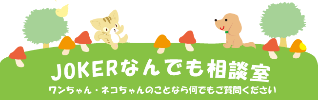 何でも相談室