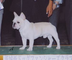 ボス