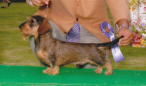 チャックロ