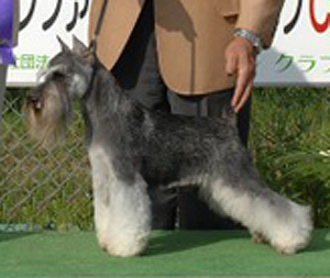 ジャグ