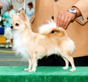 小次郎