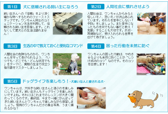 プログラム