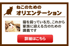 ねこのためのオリエンテーション