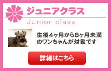 ジュニアクラス