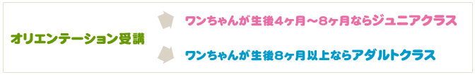 受講の流れ