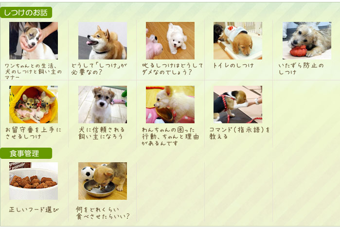 プログラム