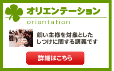 オリエンテーション