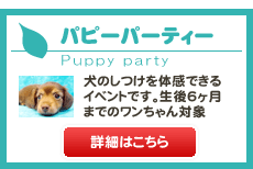 パピーパーティー