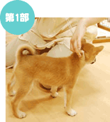 第一部