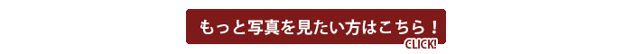 写真はこちら 写真はこちら