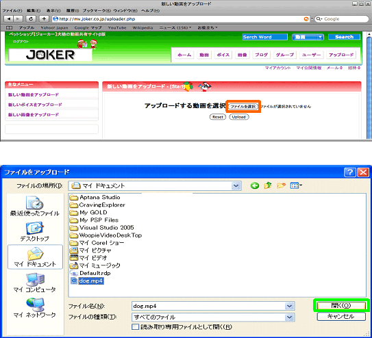 shinki08