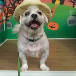 ララちゃん ララちゃん