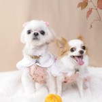 三浦様 トパーズちゃん、ラピスちゃん 三浦様 トパーズちゃん、ラピスちゃん