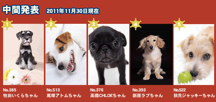 中間発表