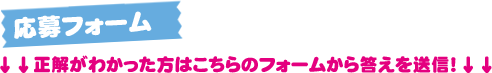 応募フォーム
