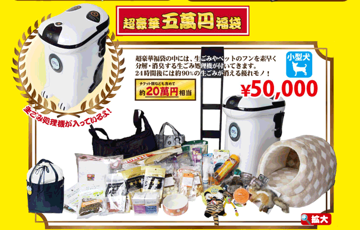 小型犬5万