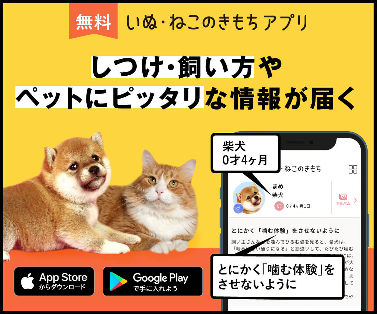 いぬ・ねこのきもちアプリ
