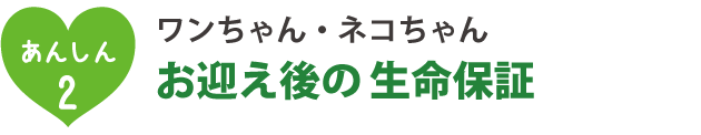 お迎え後の生命保証