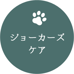 ã¸ã§ã¼ã«ã¼ãºã±ã¢