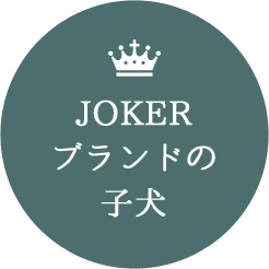 ã¸ã§ã¼ã«ã¼ãã©ã³ãã®å­ç¬