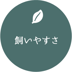 é£¼ãããã