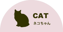 ネコちゃん