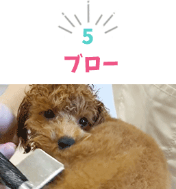 ブロー