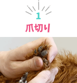 爪切り