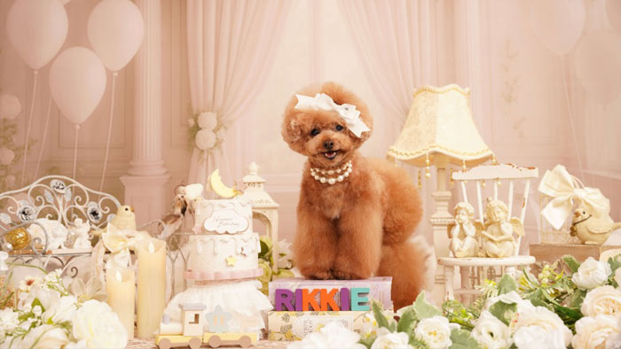 メモリーショップ