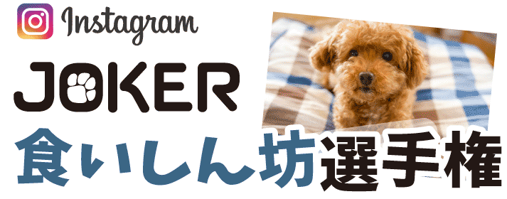 食いしん坊選手権