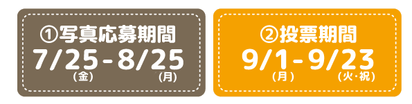 応募期間