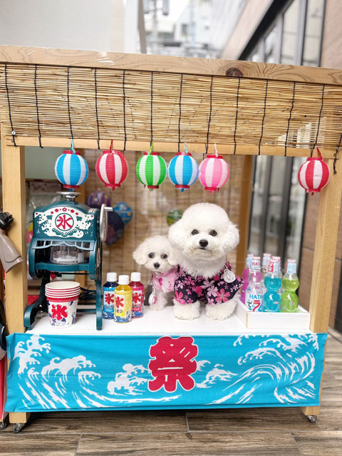 ぽぽちゃん・りりちゃん