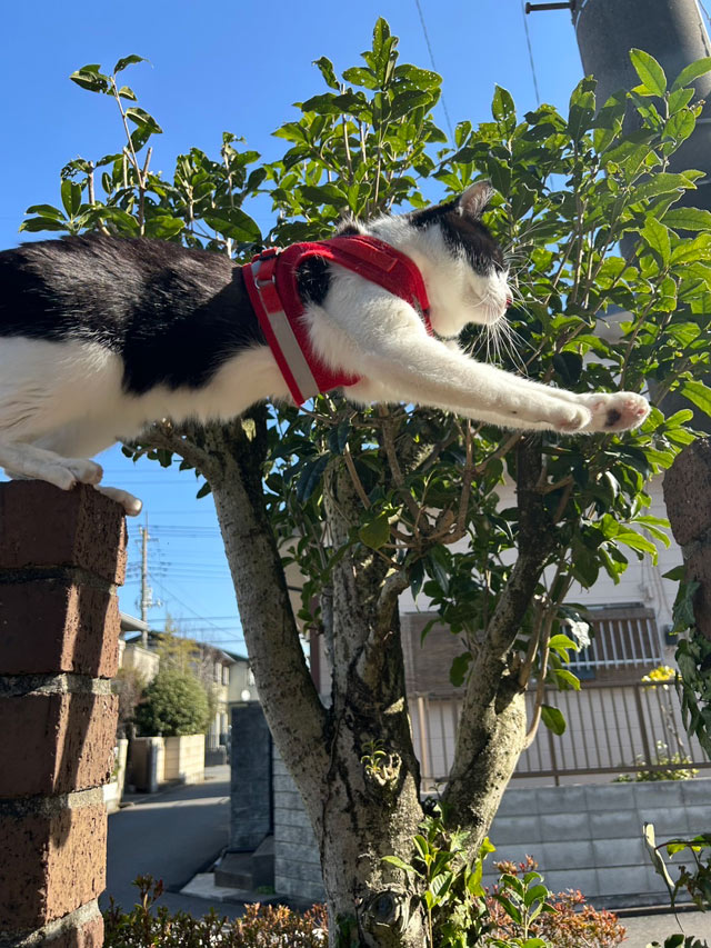 タクちゃん