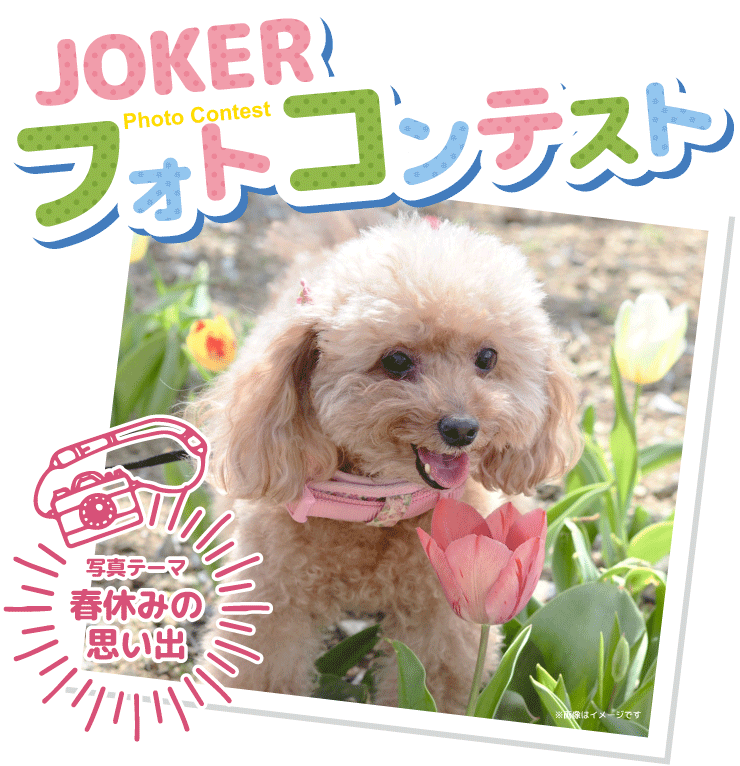 ジョーカーフォトコンテスト