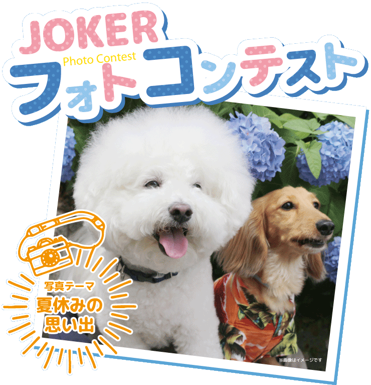 ジョーカーフォトコンテスト