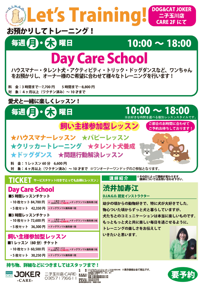 ディンゴトレーニング