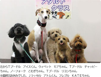 第13回アダルトクラス