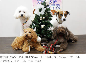 第15回アダルトクラス