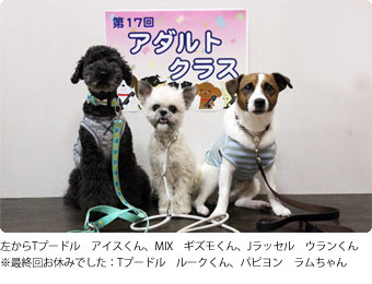 第17回アダルトクラス