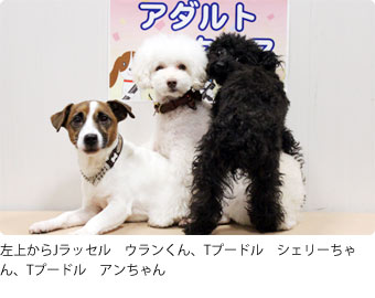 第30回アダルトクラス